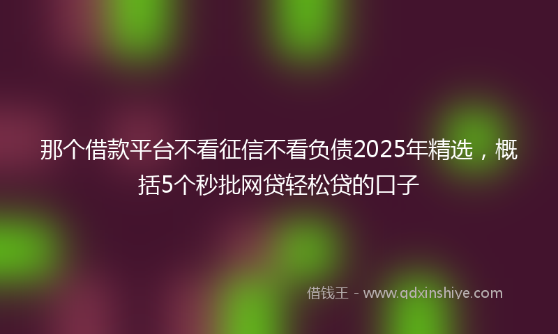 那个借款平台不看征信不看负债2025年精选，概括5个秒批网贷轻松贷的口子