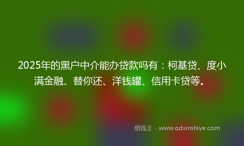 2025年的黑户中介能办贷款吗有：柯基贷、度小满金融、替你还、洋钱罐、信用卡贷等。