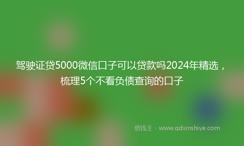 驾驶证贷5000微信口子可以贷款吗2024年精选，梳理5个不看负债查询的口子