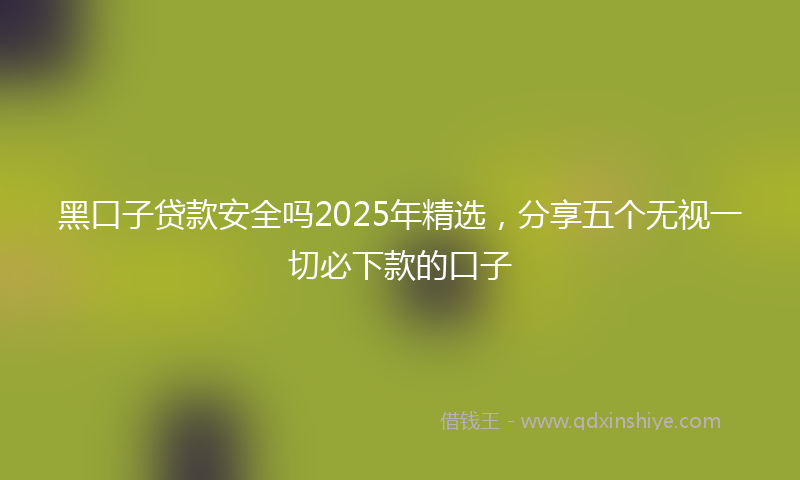 黑口子贷款安全吗2025年精选，分享五个无视一切必下款的口子
