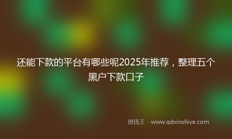 还能下款的平台有哪些呢2025年推荐，整理五个黑户下款口子