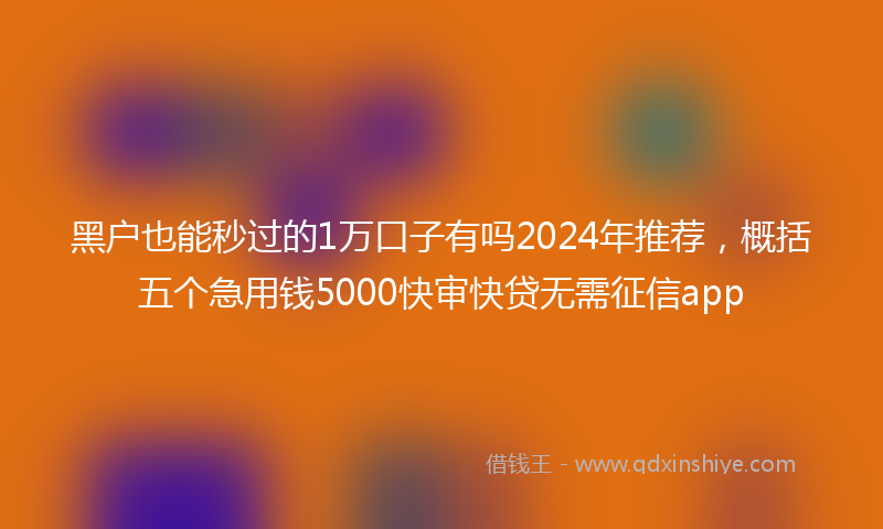 黑户也能秒过的1万口子有吗2024年推荐，概括五个急用钱5000快审快贷无需征信app