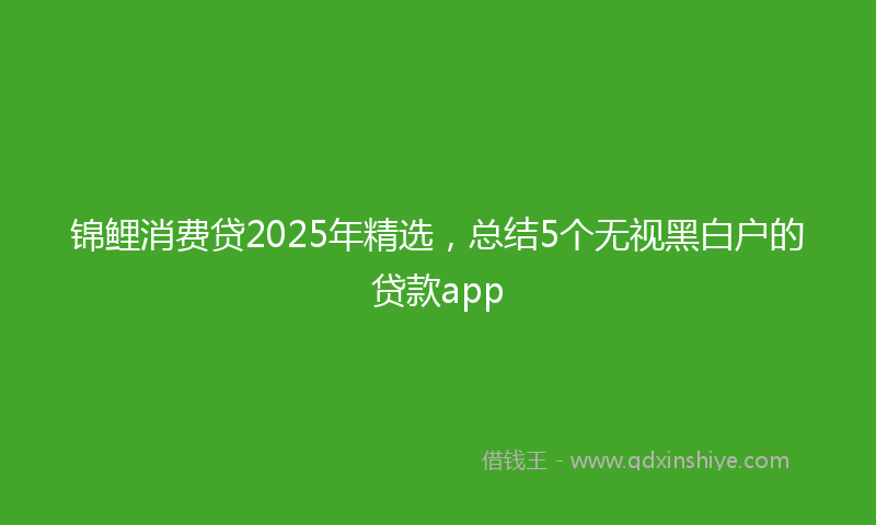 锦鲤消费贷2025年精选，总结5个无视黑白户的贷款app