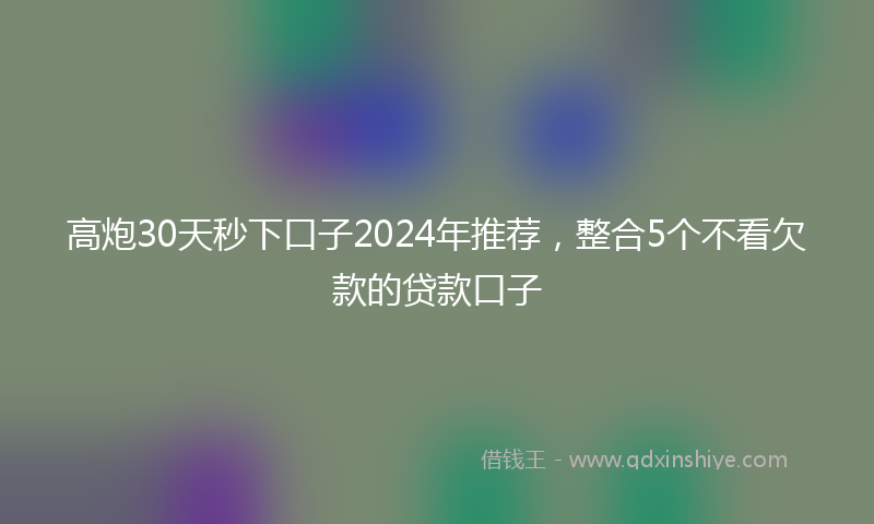 高炮30天秒下口子2024年推荐，整合5个不看欠款的贷款口子