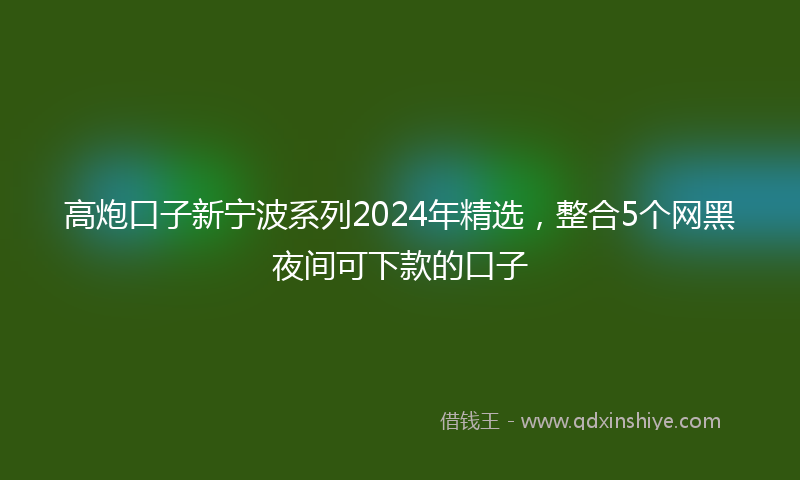 高炮口子新宁波系列2024年精选，整合5个网黑夜间可下款的口子