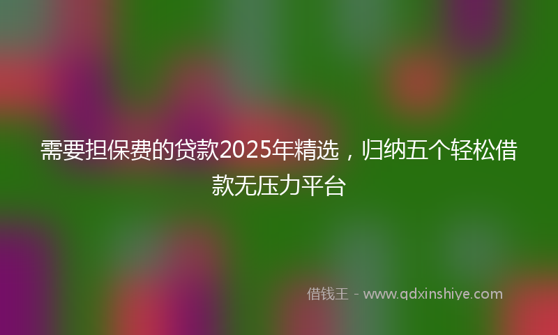 需要担保费的贷款2025年精选，归纳五个轻松借款无压力平台
