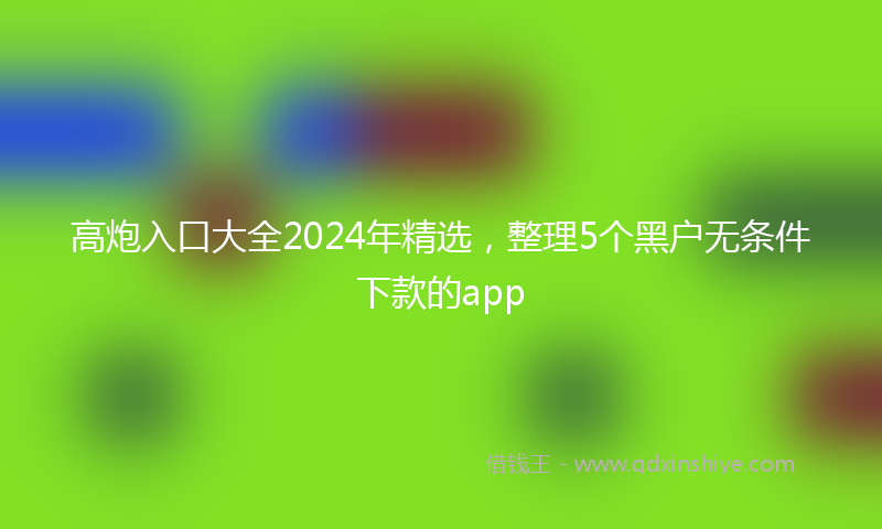 高炮入口大全2024年精选，整理5个黑户无条件下款的app
