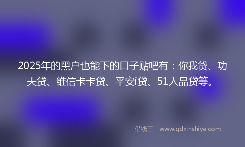2025年的黑户也能下的口子贴吧有：你我贷、功夫贷、维信卡卡贷、平安i贷、51人品贷等。