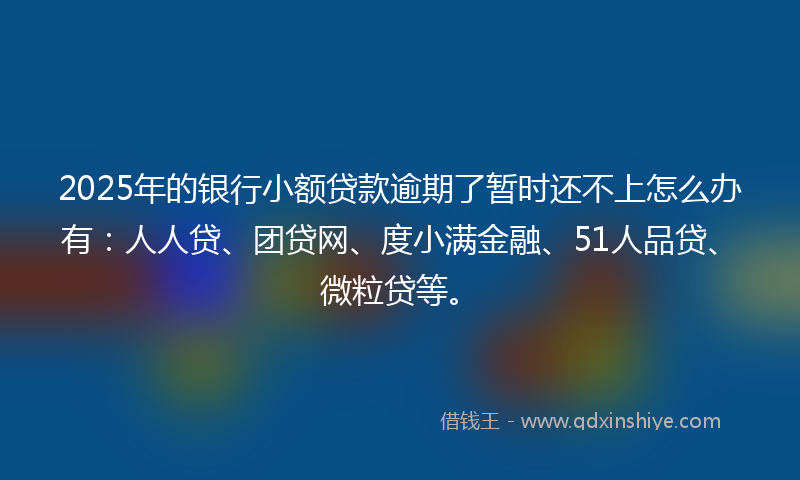2025年的银行小额贷款逾期了暂时还不上怎么办有：人人贷、团贷网、度小满金融、51人品贷、微粒贷等。