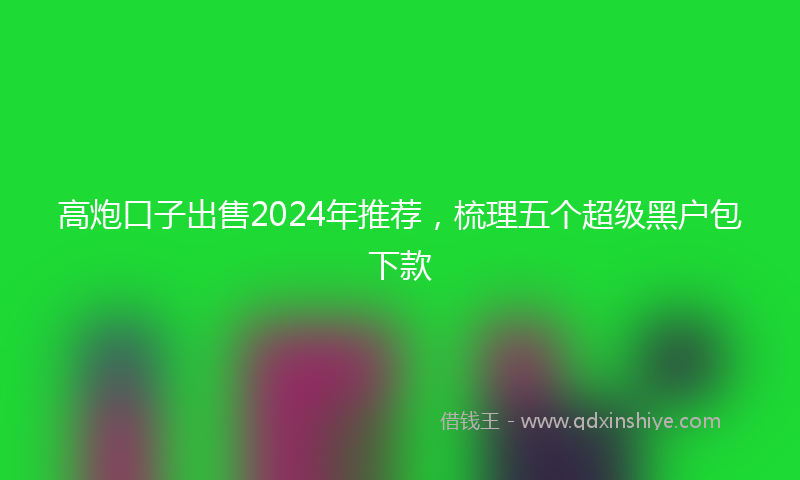 高炮口子出售2024年推荐，梳理五个超级黑户包下款