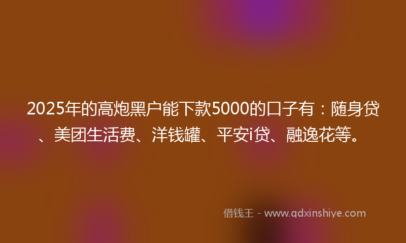 2025年的高炮黑户能下款5000的口子有：随身贷、美团生活费、洋钱罐、平安i贷、融逸花等。