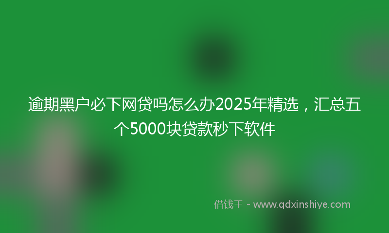 逾期黑户必下网贷吗怎么办2025年精选，汇总五个5000块贷款秒下软件