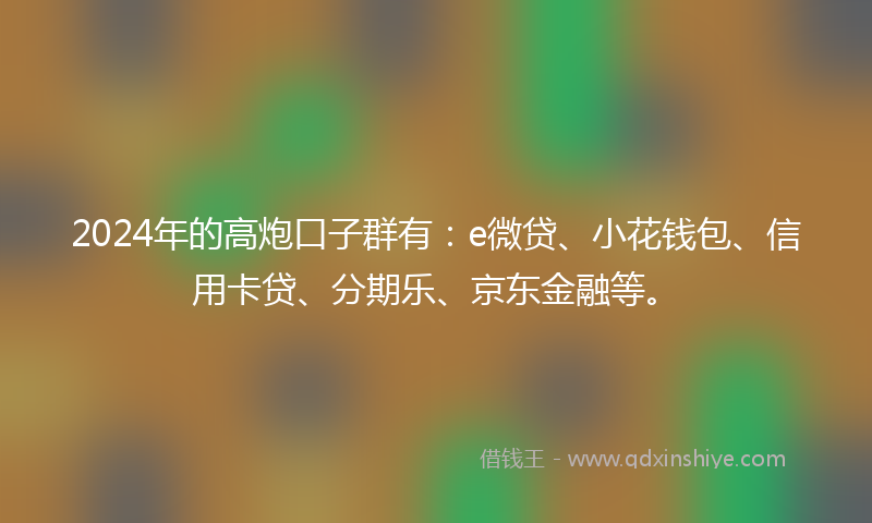 2024年的高炮口子群有：e微贷、小花钱包、信用卡贷、分期乐、京东金融等。
