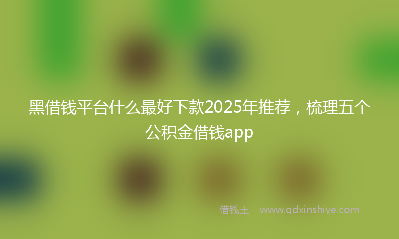 黑借钱平台什么最好下款2025年推荐，梳理五个公积金借钱app