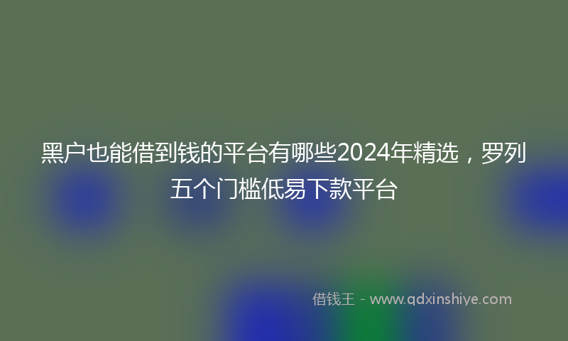 黑户也能借到钱的平台有哪些2024年精选，罗列五个门槛低易下款平台