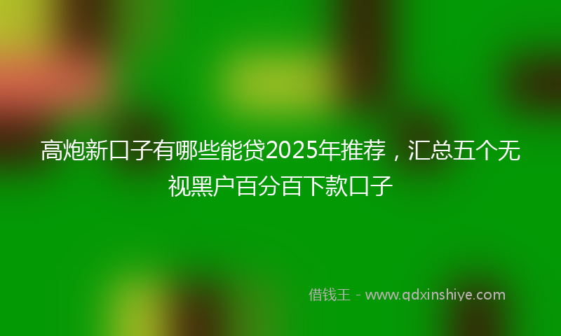 高炮新口子有哪些能贷2025年推荐，汇总五个无视黑户百分百下款口子