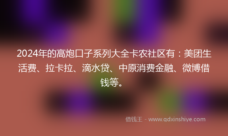 2024年的高炮口子系列大全卡农社区有：美团生活费、拉卡拉、滴水贷、中原消费金融、微博借钱等。