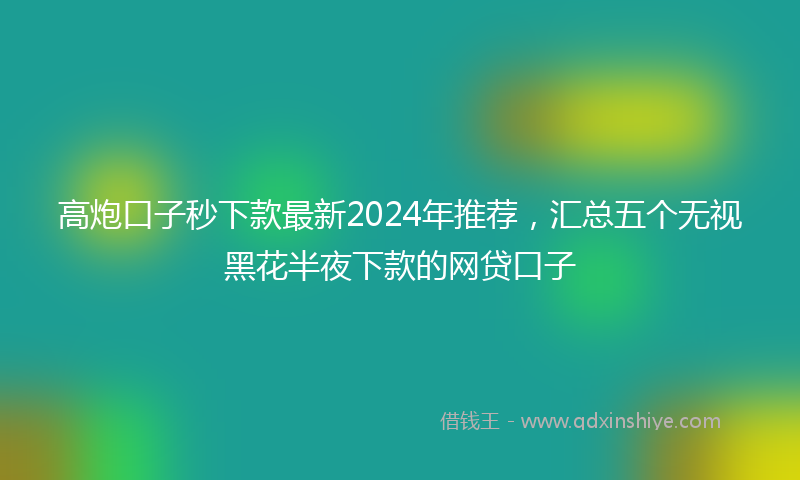 高炮口子秒下款最新2024年推荐，汇总五个无视黑花半夜下款的网贷口子