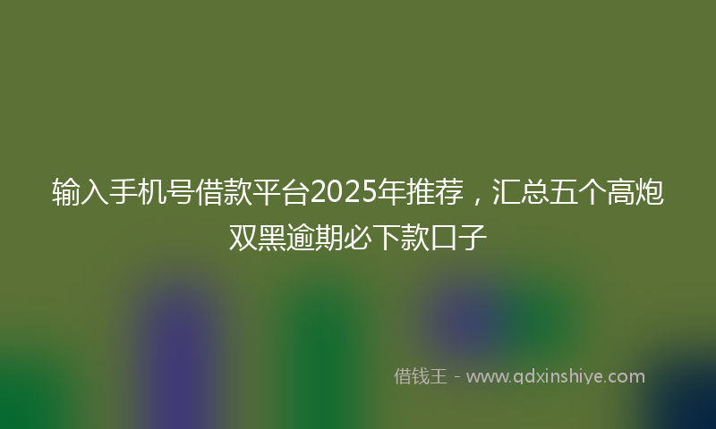输入手机号借款平台2025年推荐，汇总五个高炮双黑逾期必下款口子
