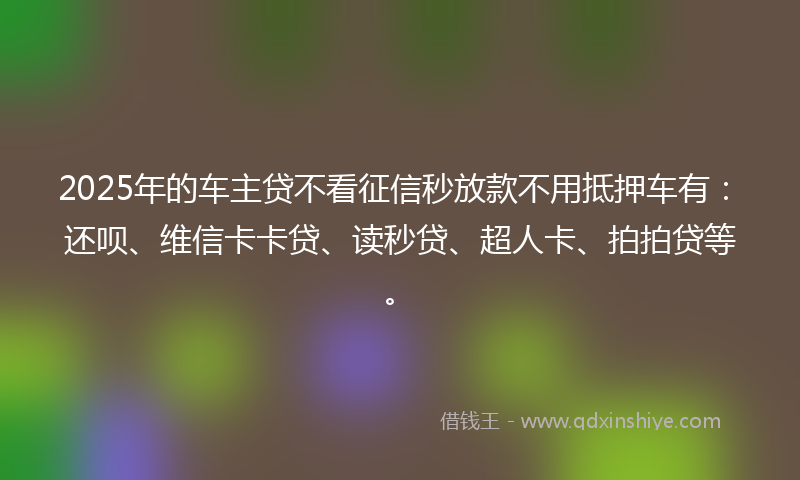 2025年的车主贷不看征信秒放款不用抵押车有：还呗、维信卡卡贷、读秒贷、超人卡、拍拍贷等。