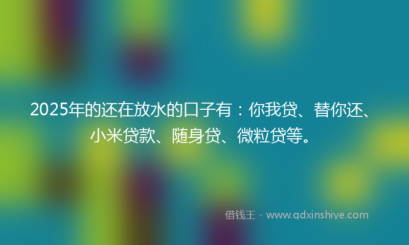 2025年的还在放水的口子有：你我贷、替你还、小米贷款、随身贷、微粒贷等。