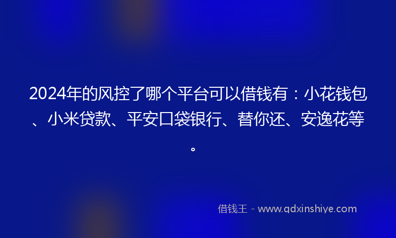 2024年的风控了哪个平台可以借钱有：小花钱包、小米贷款、平安口袋银行、替你还、安逸花等。