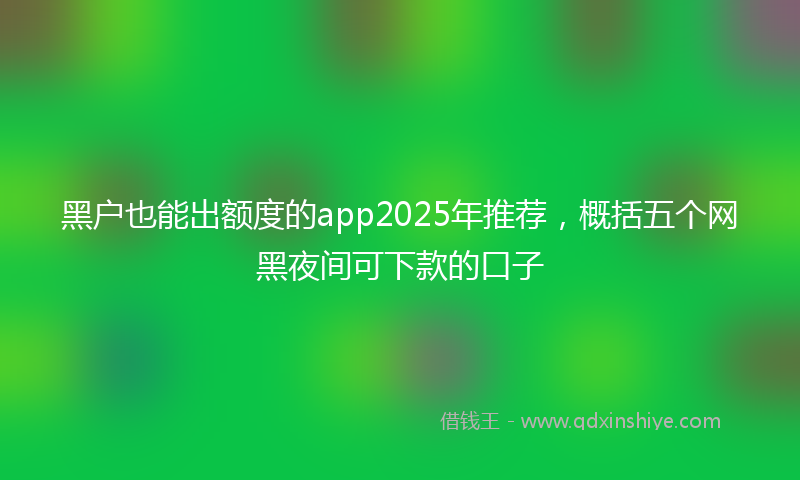黑户也能出额度的app2025年推荐，概括五个网黑夜间可下款的口子