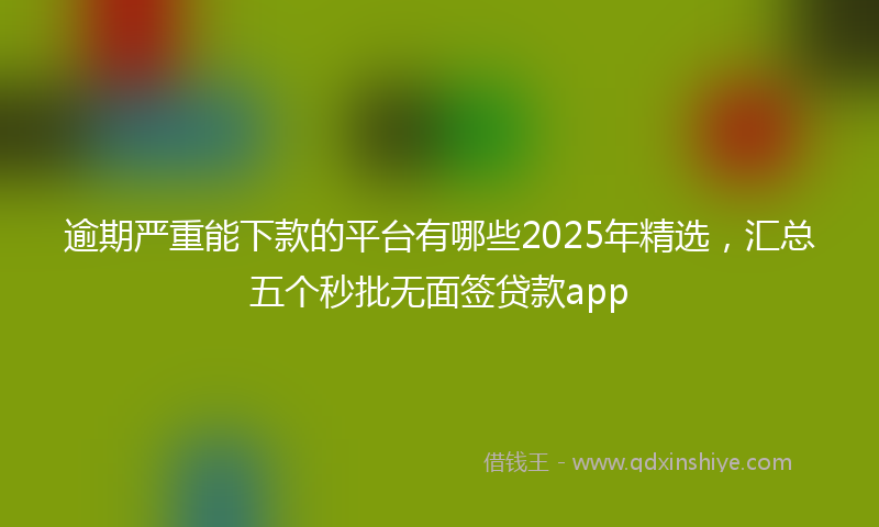 逾期严重能下款的平台有哪些2025年精选，汇总五个秒批无面签贷款app