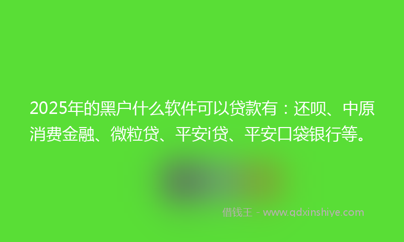 2025年的黑户什么软件可以贷款有：还呗、中原消费金融、微粒贷、平安i贷、平安口袋银行等。