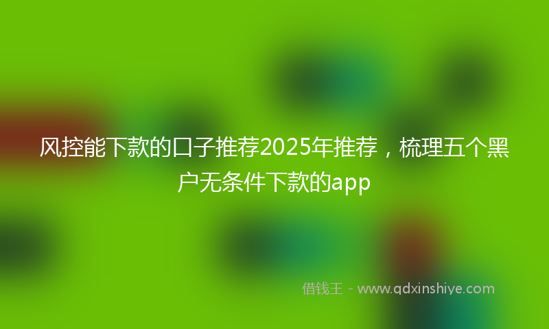 风控能下款的口子推荐2025年推荐，梳理五个黑户无条件下款的app