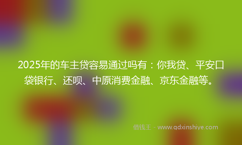 2025年的车主贷容易通过吗有：你我贷、平安口袋银行、还呗、中原消费金融、京东金融等。