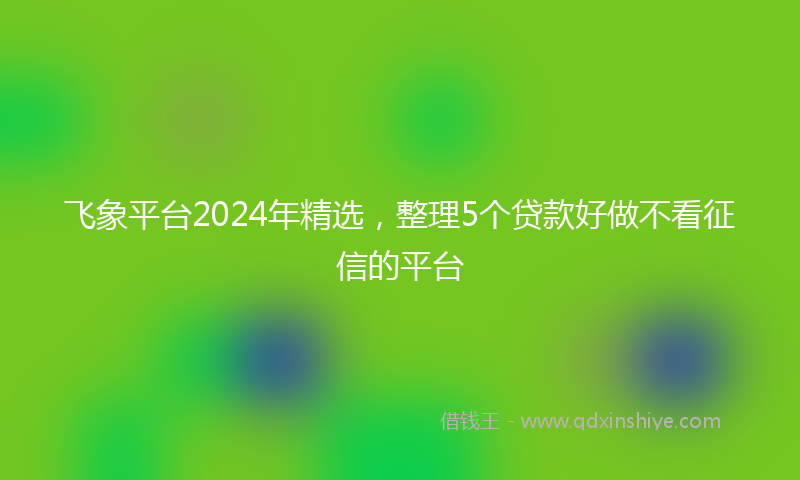 飞象平台2024年精选，整理5个贷款好做不看征信的平台