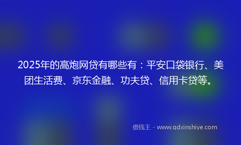 2025年的高炮网贷有哪些有：平安口袋银行、美团生活费、京东金融、功夫贷、信用卡贷等。