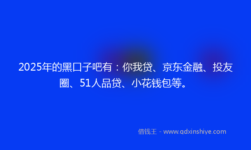 2025年的黑口子吧有：你我贷、京东金融、投友圈、51人品贷、小花钱包等。