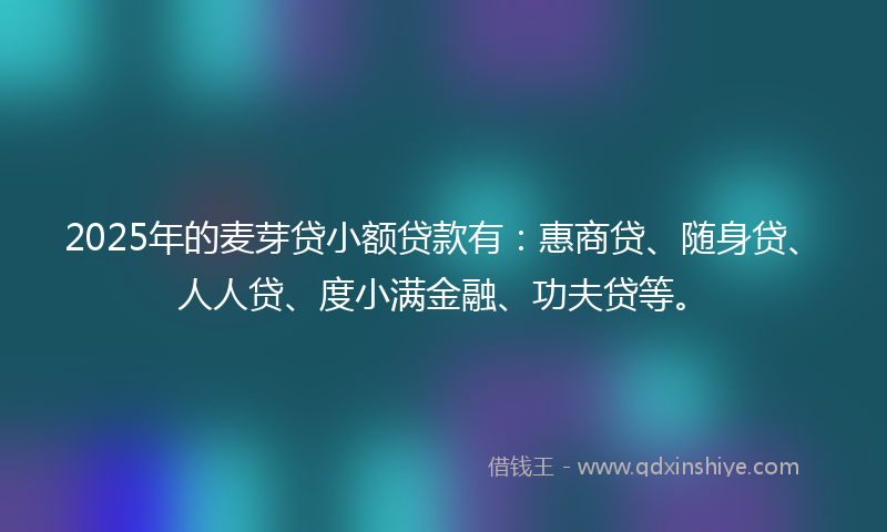 2025年的麦芽贷小额贷款有：惠商贷、随身贷、人人贷、度小满金融、功夫贷等。