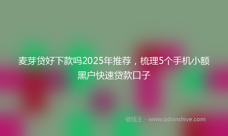 麦芽贷好下款吗2025年推荐，梳理5个手机小额黑户快速贷款口子