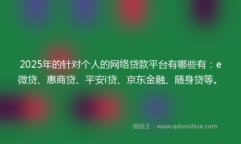 2025年的针对个人的网络贷款平台有哪些有：e微贷、惠商贷、平安i贷、京东金融、随身贷等。
