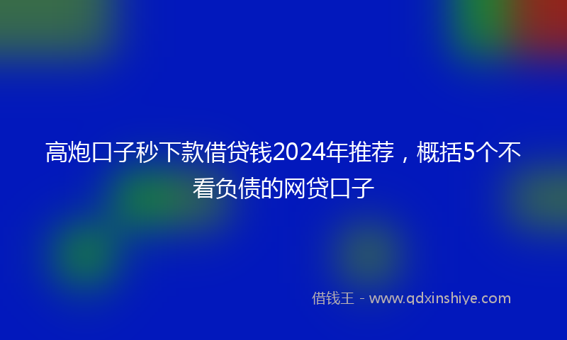 高炮口子秒下款借贷钱2024年推荐，概括5个不看负债的网贷口子