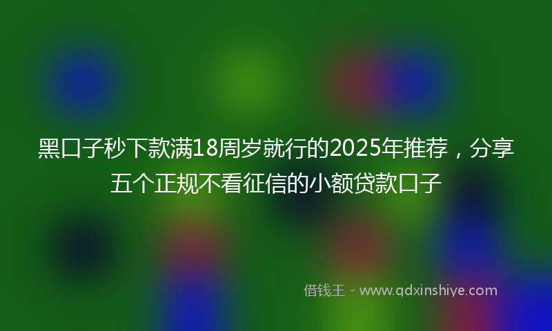 黑口子秒下款满18周岁就行的2025年推荐，分享五个正规不看征信的小额贷款口子