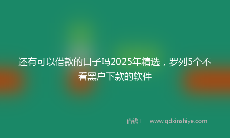 还有可以借款的口子吗2025年精选，罗列5个不看黑户下款的软件