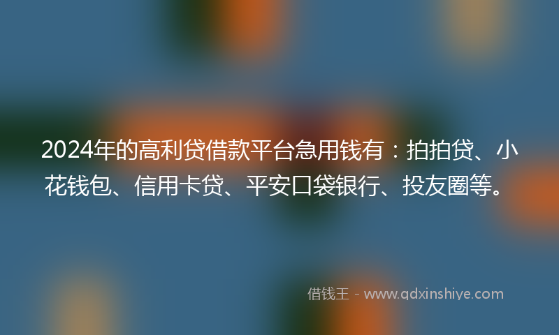 2024年的高利贷借款平台急用钱有：拍拍贷、小花钱包、信用卡贷、平安口袋银行、投友圈等。