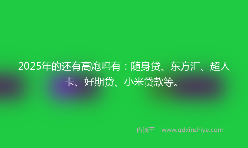 2025年的还有高炮吗有：随身贷、东方汇、超人卡、好期贷、小米贷款等。
