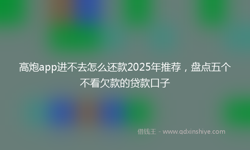 高炮app进不去怎么还款2025年推荐，盘点五个不看欠款的贷款口子