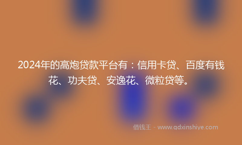 2024年的高炮贷款平台有：信用卡贷、百度有钱花、功夫贷、安逸花、微粒贷等。
