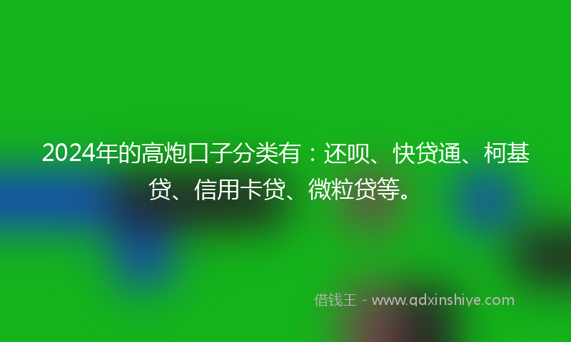 2024年的高炮口子分类有：还呗、快贷通、柯基贷、信用卡贷、微粒贷等。