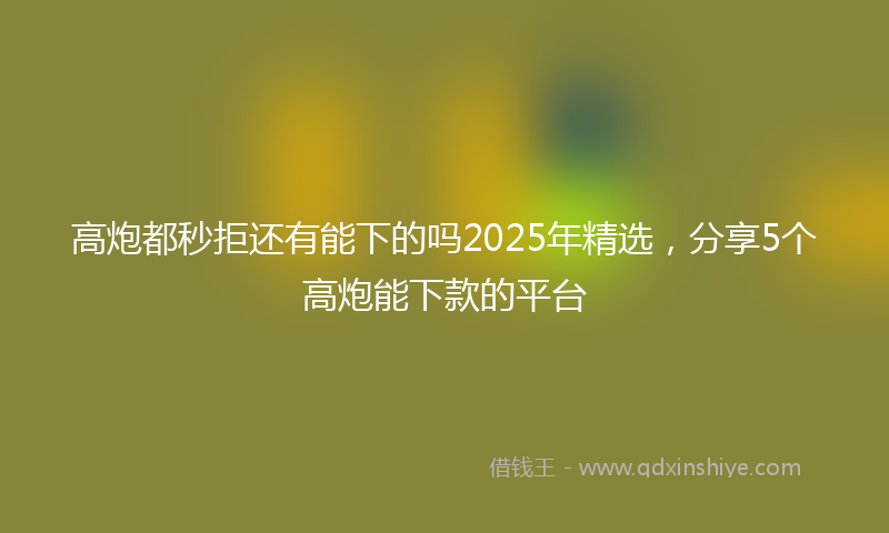 高炮都秒拒还有能下的吗2025年精选，分享5个高炮能下款的平台