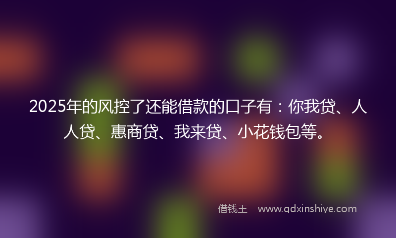 2025年的风控了还能借款的口子有：你我贷、人人贷、惠商贷、我来贷、小花钱包等。