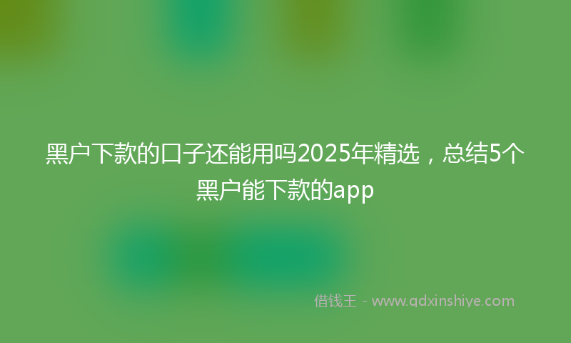 黑户下款的口子还能用吗2025年精选，总结5个黑户能下款的app