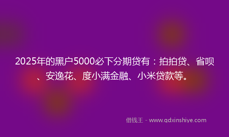 2025年的黑户5000必下分期贷有：拍拍贷、省呗、安逸花、度小满金融、小米贷款等。
