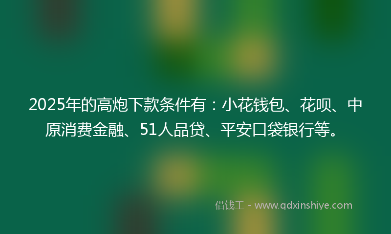 2025年的高炮下款条件有：小花钱包、花呗、中原消费金融、51人品贷、平安口袋银行等。